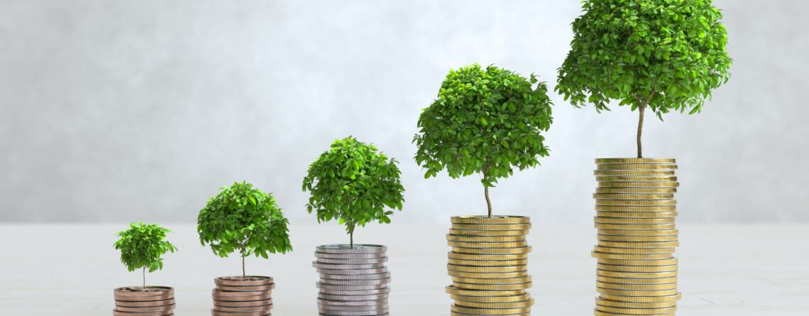 Financer projet ERP_SetInUp